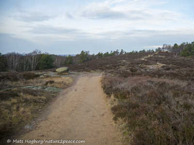 Änggårdsbergen - Botanical garden