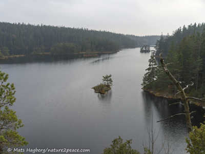 Härsevattnet