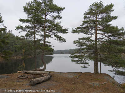 Härsevattnet