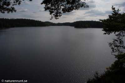 Risveden - Stora Kroksjön
