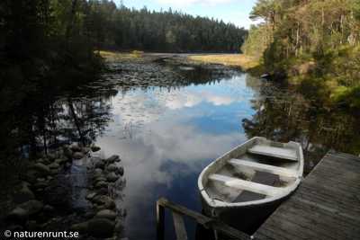 Jetty in the south
